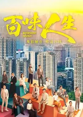 消失的她 海报